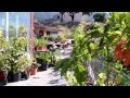 Viveros Arboles Frutales Zaragoza