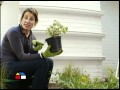 Diseño De Jardines Horizontales