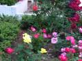 Curso Diseño De Jardines Guatemala