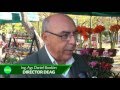 Plantas Ornamentales Orquideas
