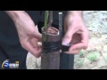 Arboles Frutales Brasil