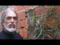 Plantas Curativas Cancer