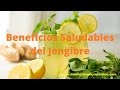 Plantas Curativas Para El Cancer