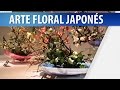 Arreglos Florales Japoneses Ikebana