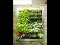 Decoracion De Jardines Verticales