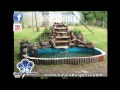 Plantas Ornamentales Artificiales En Monterrey