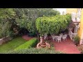 Arboles Frutales Guanajuato