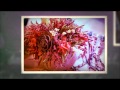 Arreglos Florales Costa Rica Heredia