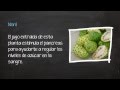 Plantas Curativas Para La Diabetes