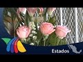 Arreglos Florales Zacatecas
