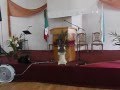 Arreglos Florales Tijuana