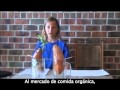 Plantas Ornamentales Y Sus Funciones