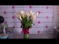 Arreglos Florales Con Calas