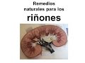 Plantas Curativas Para El Riñon