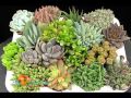 Diseño De Jardines Xerófilos
