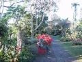 Decoracion De Jardines Heredia