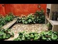 Jardines Y Decoracion De Exteriores