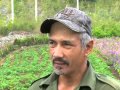 Plantas Ornamentales De Clima Calido En Colombia