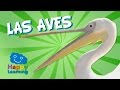 Texto Expositivo Sobre Plantas Carnivoras
