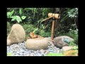 Decoracion De Jardines Heredia