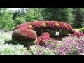 Www.fotos De Diseño De Jardines