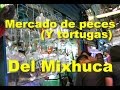 Mercado De Plantas Ornamentales En Mexico