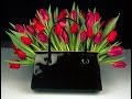 Arreglos Florales Para Cumpleaños De Mujer
