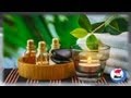 Plantas Curativas Y Para Que Sirven