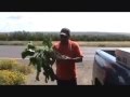 Sistemas De Riego Del Norte
