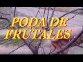 Arboles Frutales Poda