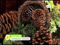 Arreglos Florales Navidad