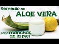 Plantas Curativas Cicatrizantes