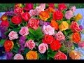 Arreglos Florales Con Orquideas En Bogota
