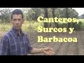 Ventajas Y Desventajas De Los Huertos Familiares