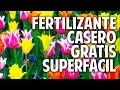 Abono Organico Para Plantas Ornamentales