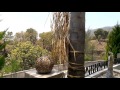Sistemas De Riego Guadalajara Jalisco