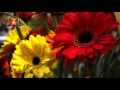 Arreglos Florales Guaynabo Puerto Rico