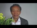 Plantas Curativas Para Bajar De Peso