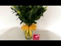 Arreglos Florales Con Tulipanes