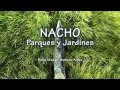 Diseño De Parques Y Jardines Argentina