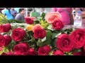 Arreglos Florales Oaxaca