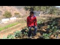 Huertos Familiares En Oaxaca