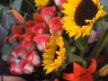 Arreglos Florales Oaxaca Centro