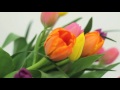 Arreglos Florales Kukyflor