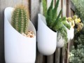 Diseño De Jardines Con Macetas