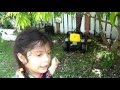 Venta Arboles Frutales Tropicales