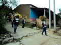 Arreglos Florales Oaxaca