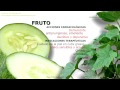 Plantas Curativas Comunes