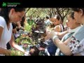 Cursos De Diseño De Jardines En Mexico