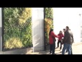 Diseño De Jardines Verticales